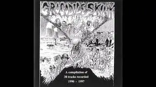 Crocodile Skink  -  From A Compilation Of 38 Tracks Recorded 1990 1997