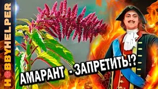 АМАРАНТ - 