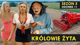 KRÓLOWIE ŻYTA Sezon 5 odc. 11 I Kabaret Malina I ŻNIWA 2024