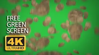 Free Green Screen - Falling Coins 3 Massive Transition [4K]