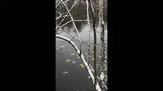 Пионерский пруд