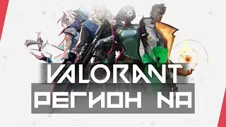 Валорант - NA терпилы #17