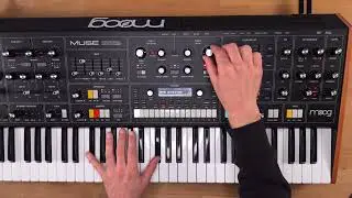 MOOG MUSE Sound Demo (no talking)