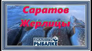 Диалоги о рыбалке -  01/ Саратов.  Жерлицы!