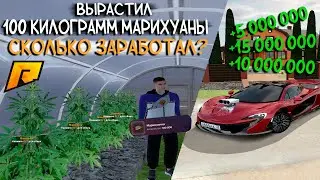 ВЫРАСТИЛ И ПРОДАЛ 100.000 МАРИХУАНЫ НА РАДМИРЕ | СКОЛЬКО ЗАРАБОТАЛ? | Radmir CRMP