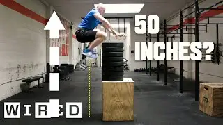 Why Its Almost Impossible to Jump Higher Than 50 Inches | WIRED