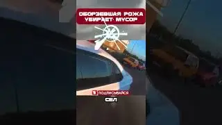 С ТАКИМИ 🐷 ТОЛЬКО ТАК😤#shorts