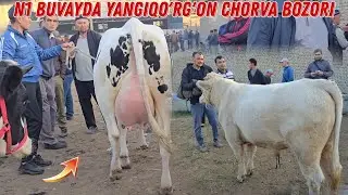 Ashaddiy Obunachilar Uchun BUVAYDA Yangiqo'rg'on Mol BOZORI