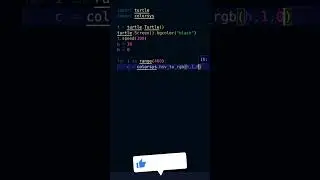 Graphic Design Circle with Python Turtle | 