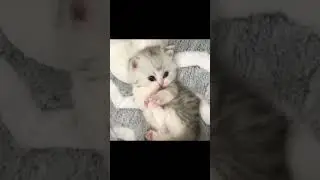 Самые классные малыши          
