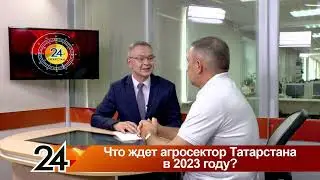 Что ждет агросектор Татарстана в 2023 году? Главные новости от 03.07.23