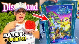 ✨ (NO WAY!) NEW Disneyland UPDATES! | New Foods, Tiana’s Bayou Adventure, Merch + MORE!