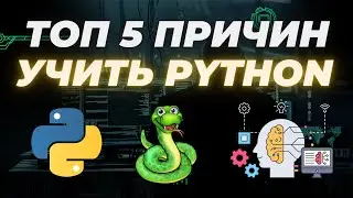 Топ 5 веских причин, почему стоит изучить Python прямо сейчас 