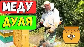 Медозбір закінчився ✅ Відкачка Меду 🍯