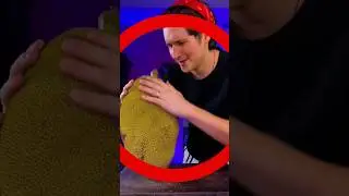 Jaca CAI NA CABEÇA