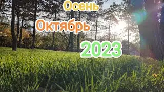 Октябрь 2023 | 20-31 Октября | Часть 2.