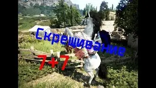 BlackDesert(БДО) Скрещивание лошадей 7 ранга/ Как получить лошадь 8 ранга?