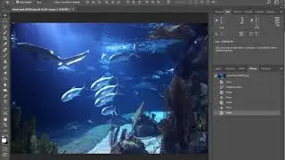 Photoshop CC - Moving Selections - Move a Selection, or the Contents of a Selection