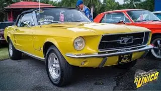 Mustang Rotativo 12A (Tuner Evolution) | DIPR Vlogs