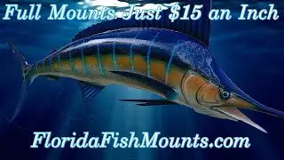 Custom Marlin Fish Mount Replicas by artist Greg Cassell at FloridaFishMounts.com