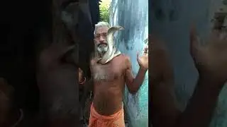 Старик и кобра