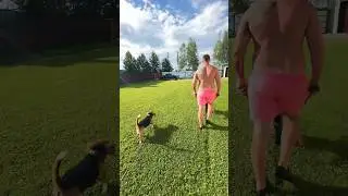 На самом деле сейчас к другому столбу привяжут😂 