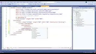 21.Learn WPF in small Steps:  Collection Binding -1