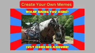 Everything You Wanted to Know About how to create memes for social media