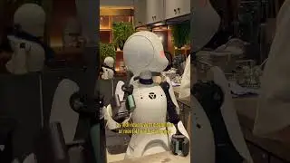 Japan's Robot Cafe Experience in Tokyo 🤖🎌 #tokyo #japan