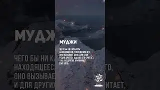 Муджи. Пребывай в тишине. Оставайся в этом естественном одиночестве. #shorts #shortsvideo