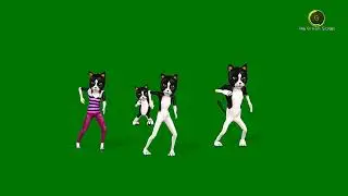 Cats Dancing Disco Samba  Green Screen HD