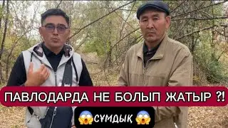 Павлодар полицейлері  барымташылармен бірге ме ?