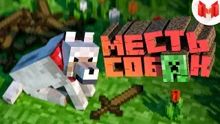 #1 Minecraft 