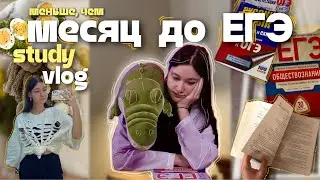 study vlog подготовка к егэ, учебная рутина и отдых || zalem