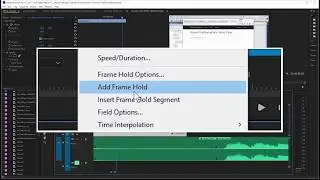 Learn How to Extend a Video Clip with Frame Hold in Adobe Premiere Pro CC 2017