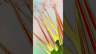 Гимпи-гимпи - уберите руки от этого растения