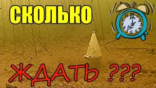 КОРМИМ РЫБУ!!! Реакция рыбы на прикормку!!! ПОДВОДНЫЕ СЪЁМКИ ПЛОТВЫ И ЛЕЩА ЗИМОЙ.