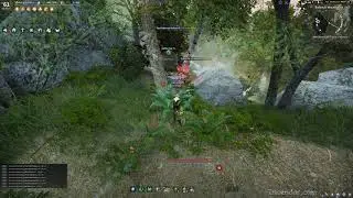 AFK Wild Herb Gathering Exploit or not? You decide! Ep 2 R Macro Wild Herb Clusters BDO Black Desert