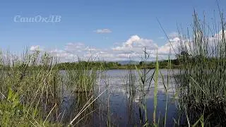 Сало, озеро, костер. Видео-релакс...