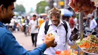 Bandar 🐵ai video generator #bandar #trendingvideo #bandaraindonesia #bandarainternasional