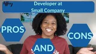 Pros and Cons of working at a small company as a developer