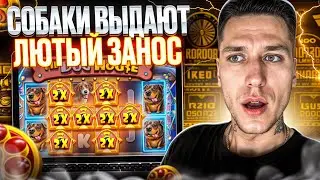 🐶 ТЕСТИРУЮ 3 СЛОТА ПРО СОБАК - Где Больше Насыпет? | Dog House Dice Show | Dog House Dog or Alive