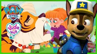 AMAZING ANIMAL RESCUES! - PAW Patrol & Vida the Vet Compilation - Cartoons for Kids
