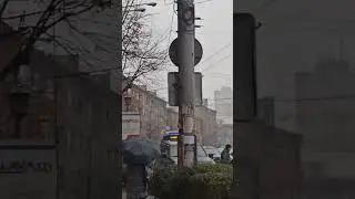 Жаль, что 2024-й не год Мыши, можно было бы желание загадать