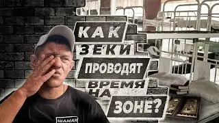 Как проводят досуг Зеки