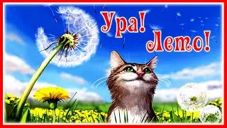 Ура! Лето! Поздравляю с началом лета!