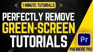 How To Remove Green Screen In Premiere Pro 2024 | Adobe Tutorials