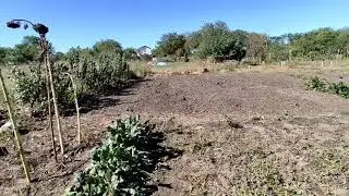 19/09/2022. Изменение климата в Краснодарском крае.