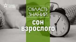 Как сон влияет на продолжительность жизни человека? Лекция врача-сомнолога Михаила Полуэктова