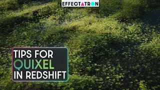 Fixing Quixel (Fixel?) Making Quixel Vegetation and Materials work right in Redshift | C4DTuturial